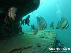 今日の海の様子