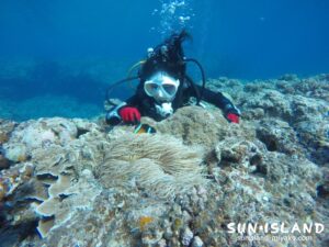 体験ダイビング