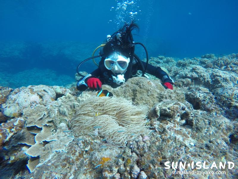 体験ダイビング