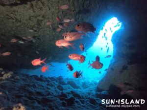 洞窟内から見た景色がキレイ