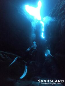 宮古島南岸ダイビングスポット『ガオー』