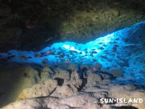 洞窟の出口に群れる魚たち