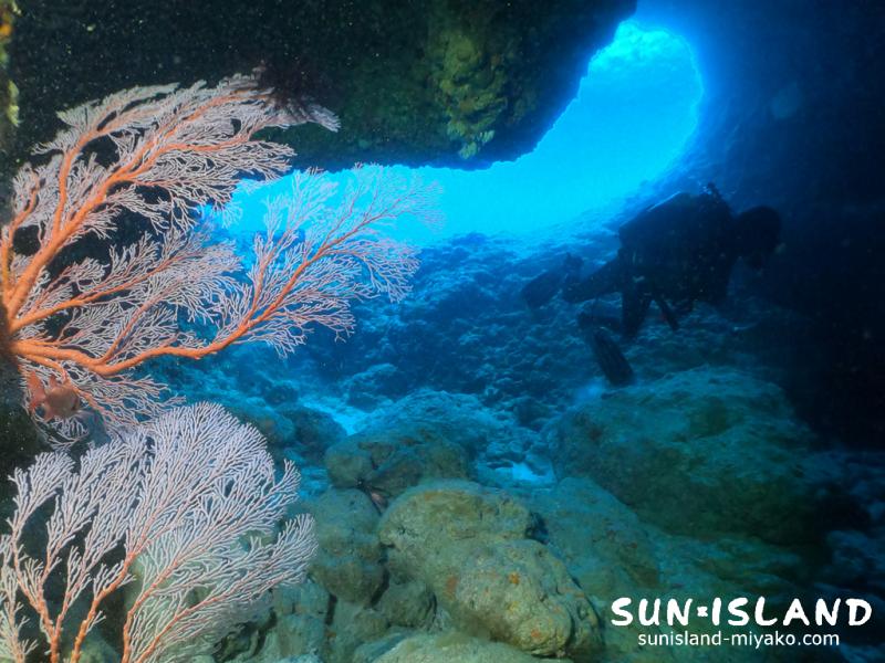 下地島ダイビングスポット『魔女の部屋』