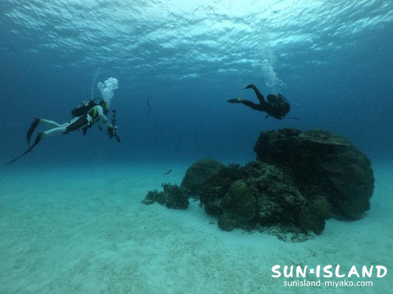 下地島ダイビングスポット『クリスタルパーク』