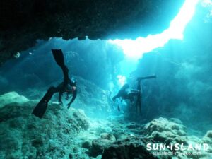 今日のゲストさん