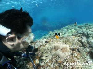 クマノミを見る体験ダイビングのSさん