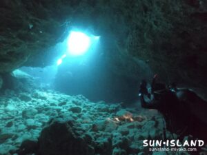 今日のダイビングの様子