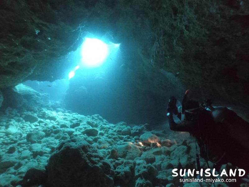 今日のダイビングの様子