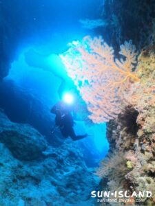 伊良部島ダイビングスポット『Zアーチ』