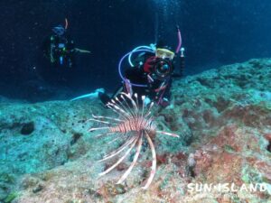 今日のゲストさん