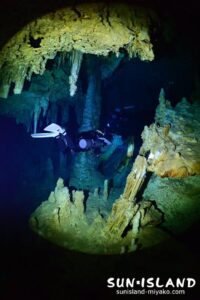 セノーテツアー ドスオホス