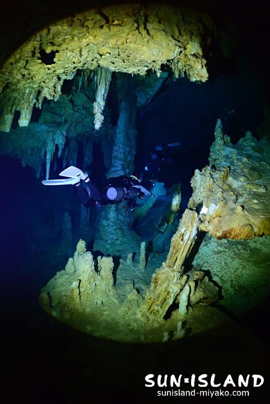 セノーテツアー ドスオホス