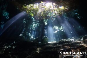 セノーテツアー タージマハ