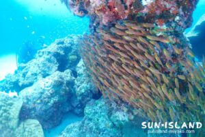 クリスタルパーク