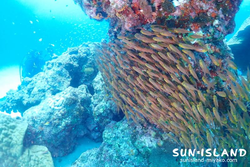 クリスタルパーク