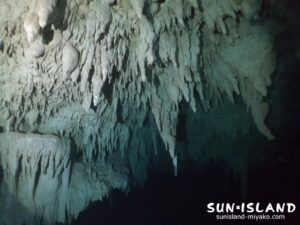 セノーテ 鍾乳石