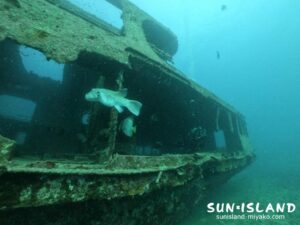 伊良部島ダイビングスポット「沈船」