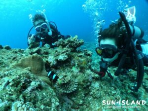 宮古島ダイビング