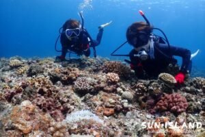 宮古島ファンダイビング