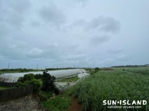 台風4号の強風域の宮古島の様子