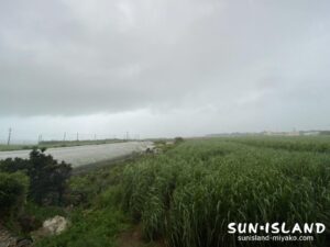 台風接近のようす