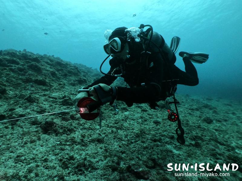 Oさんカバーンコース、ラインひき