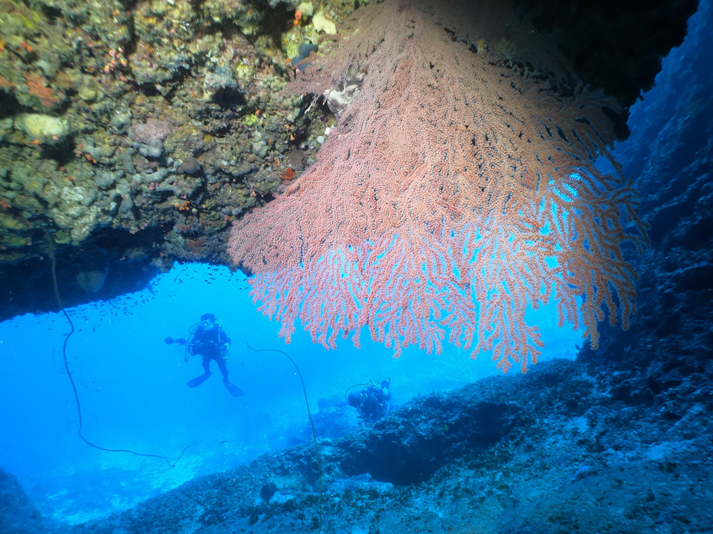 伊良部島ダイビングスポット「Zアーチ」