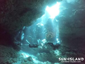 牛さん こわいよ2