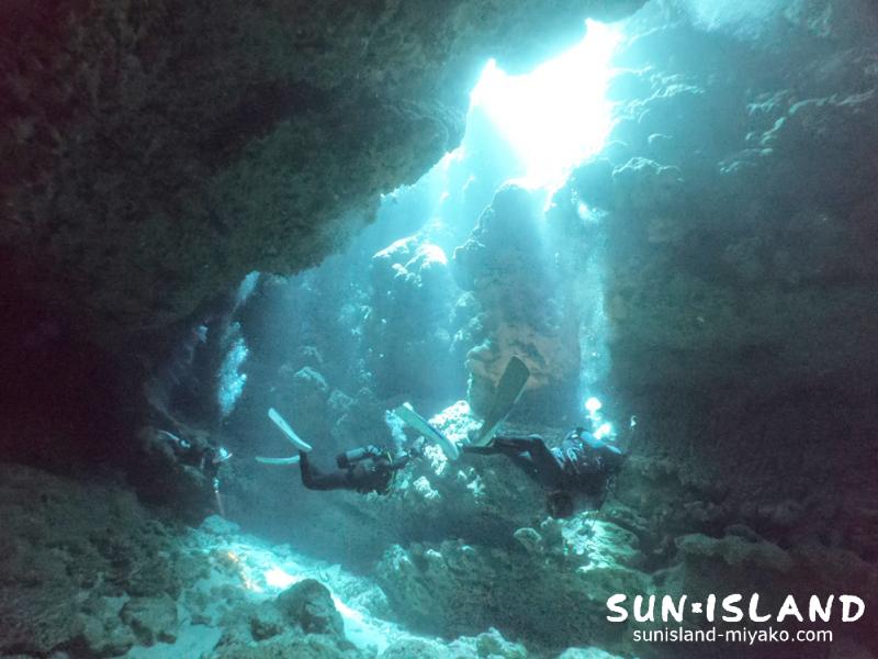 牛さん こわいよ2