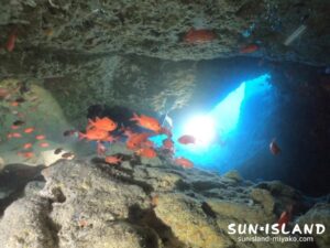 伊良部島ダイビングスポット「ワープホール」