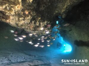 ムーンライトホール