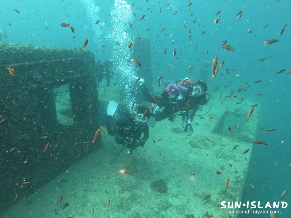 沈船ダイビング