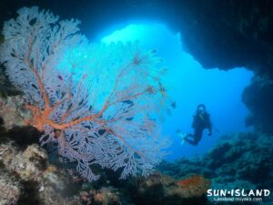 下地島ダイビングスポット魔女の部屋