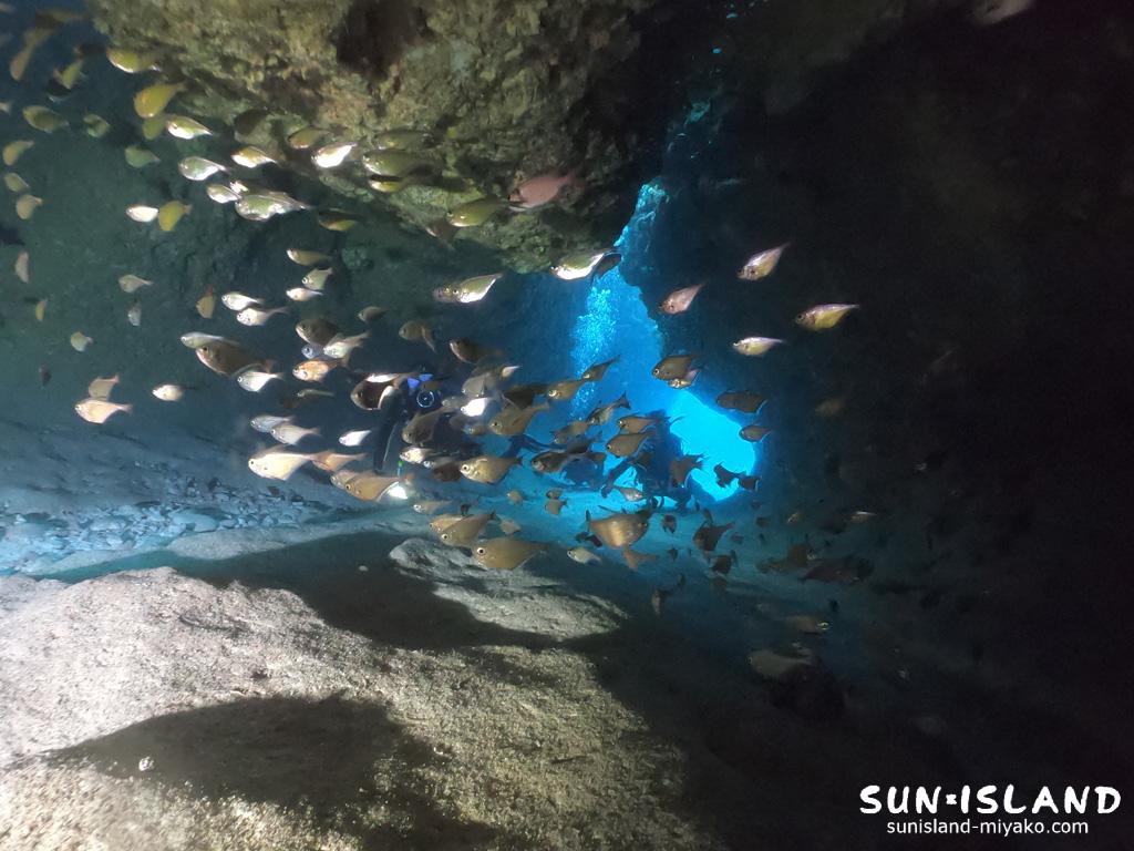 ムーンライトホール