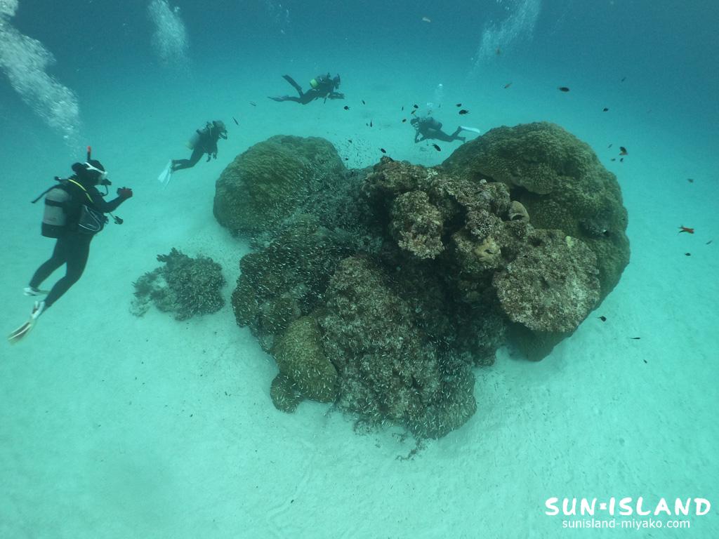 伊良部島ダイビングスポット『クリスタルパーク』