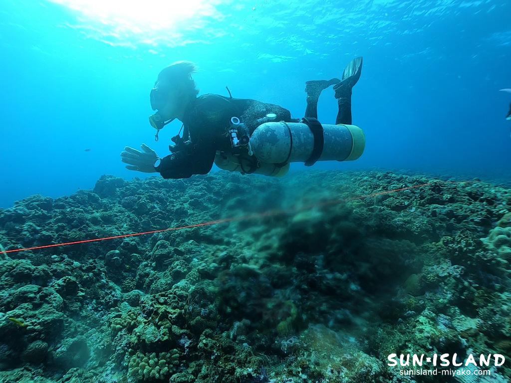 サイドマウントダイビング