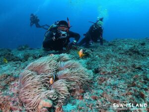 今日のゲストさん