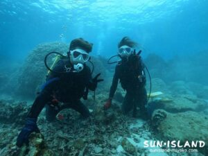 ビーチ体験ダイビング