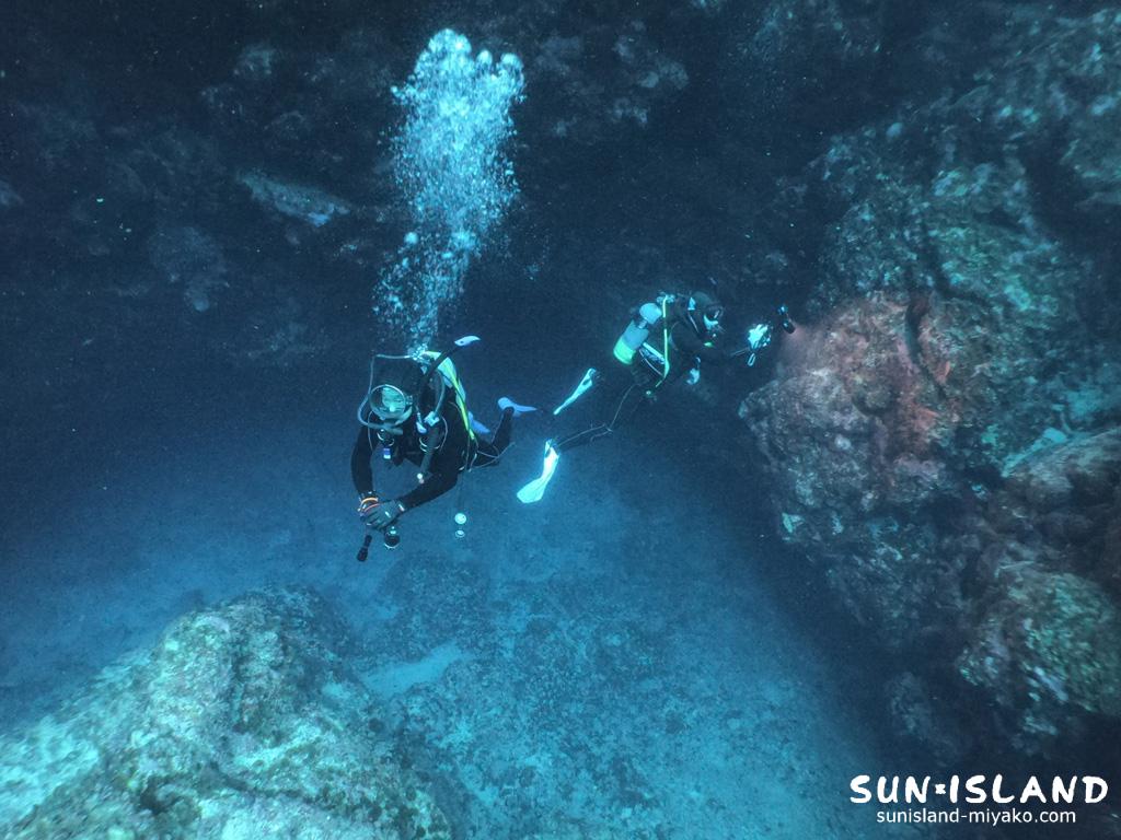 今日のゲストさん