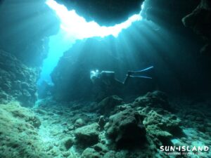 中の島チャネル