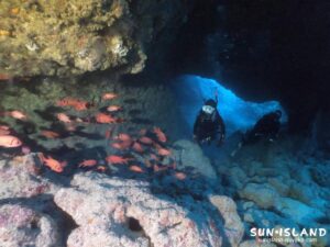 下地島ダイビングスポット「魔女の部屋」