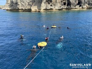 フリーダイビングの様子