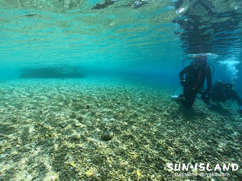 ビーチファンダイビング 中の島ビーチ
