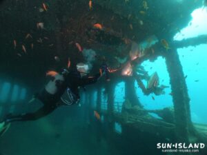 沈船ダイビングその2