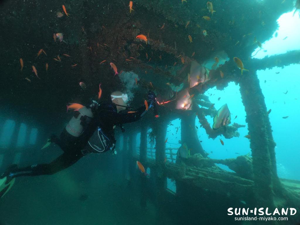 沈船ダイビングその2