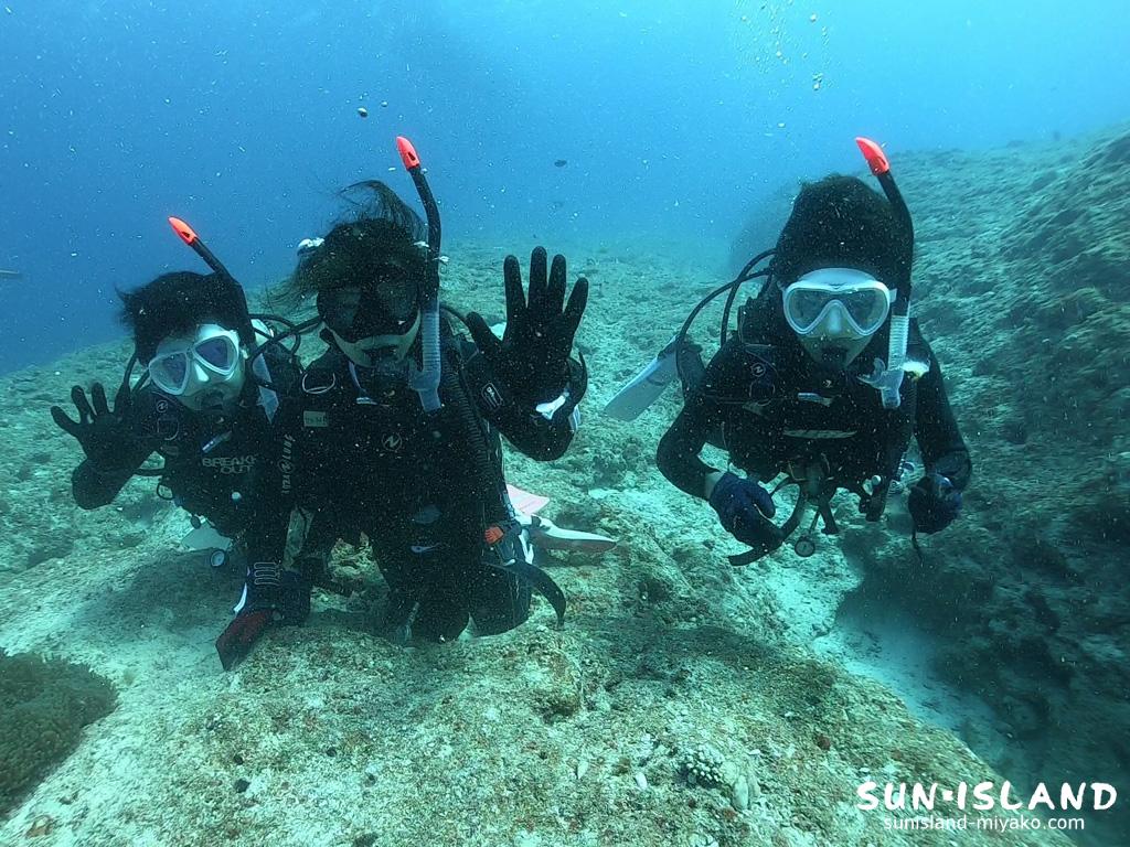 今日のゲストダイバー