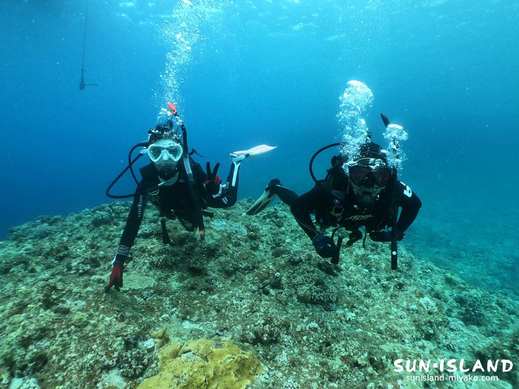 今日のゲストさん