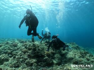 今日のゲストダイバー