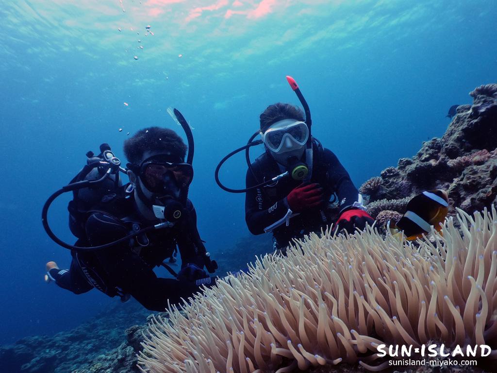 ボート体験ダイビング