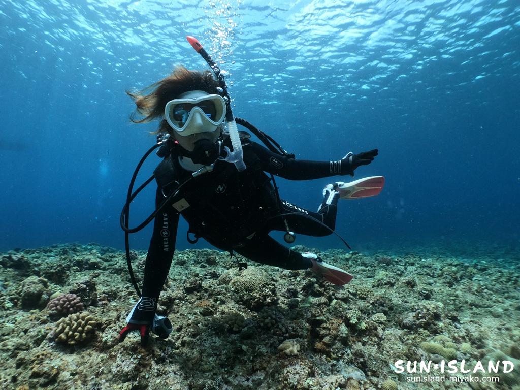 ボート体験ダイビング